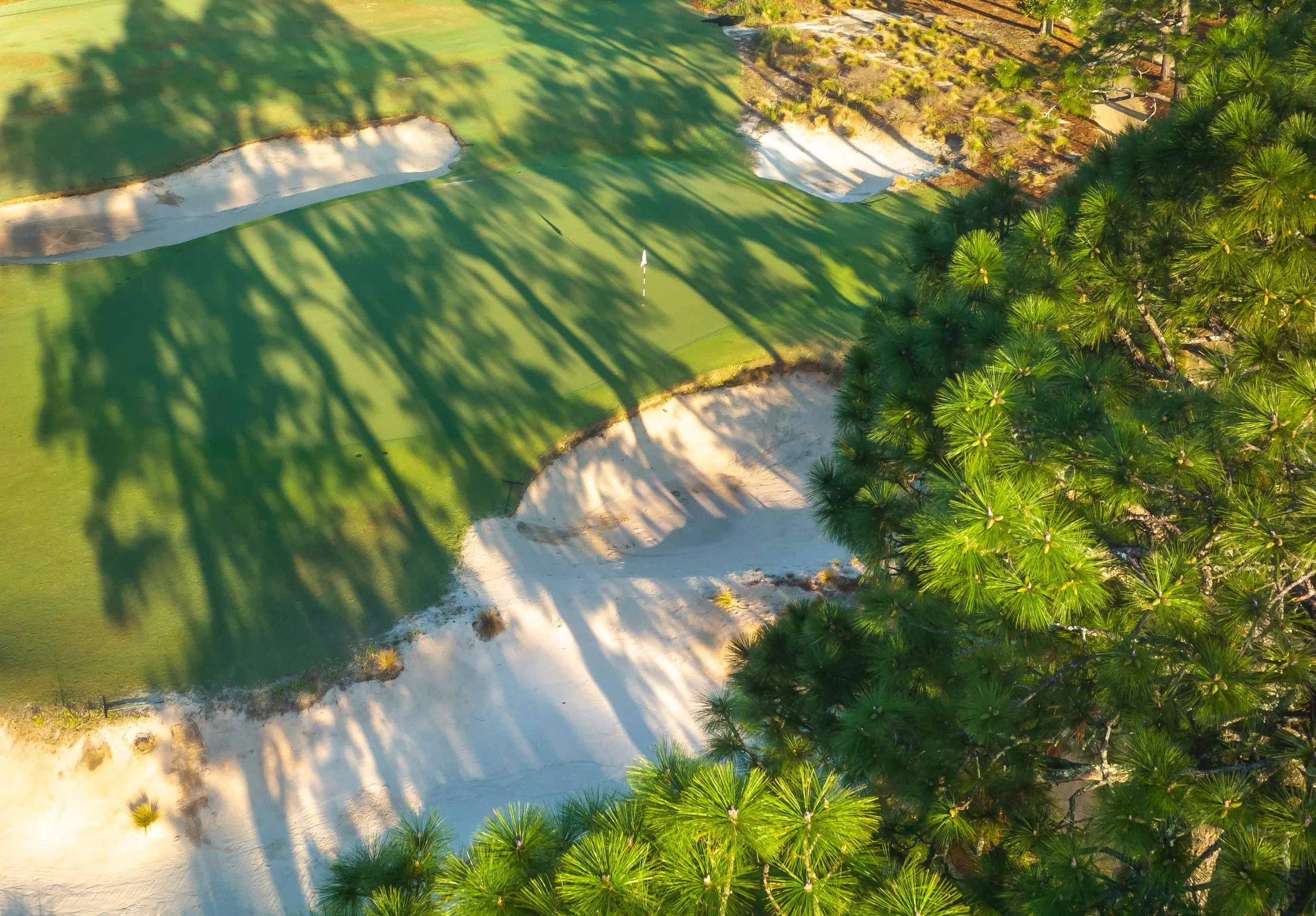 Pinehurst No. 2 — PJKoenig Golf Photography